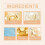 Spectrum Bionic Color-changing Concealer Foundation Concealer 5