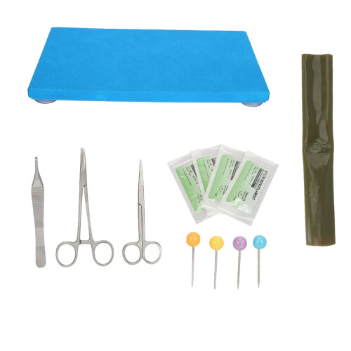 Intestinal Suture Model - Realistic Silicone 2