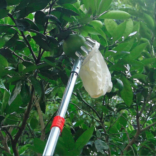 (3pcs) 1-3pcs Fruit Picker Head Basket,Portable Fruit Picker Catcher Bag Fruit Picking Tools 2