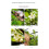 Double-edged Apple Picking Scissors Kiwi Pear Thinning Scissors Double Mouth 3