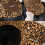 Fashionable Beret Hat With Double Style Design-Leopard print OS 5