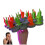 (A)Middle Finger Balance Game, Balance Board Game for 18 Piece Set 1