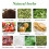 Green Coffee Slim with Ganoderma - 18-54 PCS Weight Loss Coffee for UK Diet Control 4