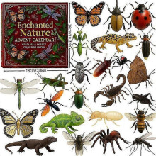 Nature's Trick Advent Calendar for UK Nature Lovers - Eco-Friendly Christmas Countdown