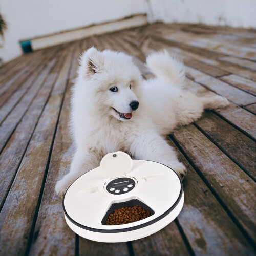 Automatique Pour Animaux En ABS Noir Usage 2