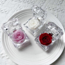 (A)Clear Acrylic Plastic Jewelry Box Mini Storage Box Acrylic Flower Box