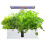 Smart Indoor Hydroponics Growing System with 9 Pods, Automatic Timing and Adjustable Height for Herbs 1