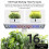 Smart Indoor Hydroponics Growing System with 9 Pods, Automatic Timing and Adjustable Height for Herbs 5