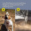 Ultrasonic Dog Barking Control Device with Triple Emitter and 49-Foot Range - Includes Training Flashlight for Pets 4