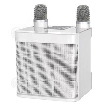 INN Wireless Bluetooth Speaker with 2 Wireless Microphones for Singing, Portable PA System for Parties