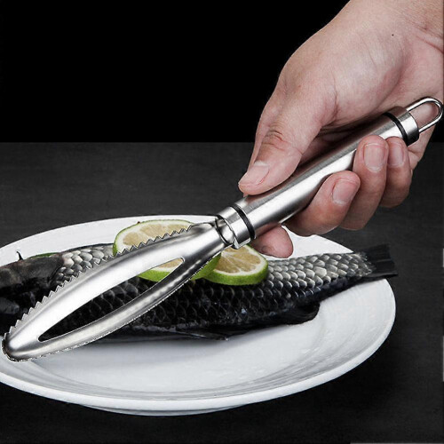 24cm Fish Scale Remover Scaler Scraper Cleaner Kitchen Gadgets Peeler 1