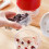 Quick action Fruit Pitter With Integrated Juice Catcher And-Red 3