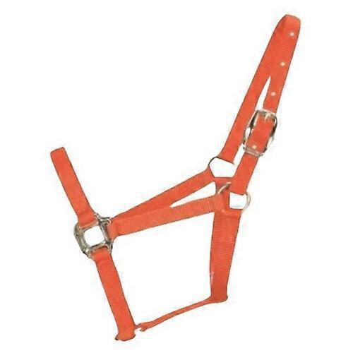 Hamilton Halter Horse Qlty 5-8 Small 1" Mango, 1 Each