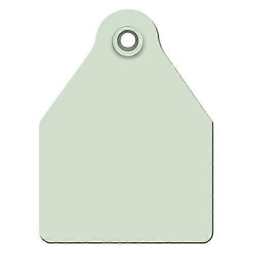 Agritags AgriLabs Large Blank AgriTags Green 25's, 1 Count