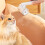 2pcs Universal Lint Roller Refills Extra Sticky 4