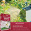 Vitax Vitax Sequestered Iron Plant Tonic 4 x 20g 6