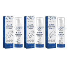 (3PCs)Hair Removal Spray, Painless Hairs Removal Spray for Men Women, Depilatory Spray for Legs Hands Arms