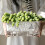 Current Icy Look Plant Holder Auto Watering System-White 3