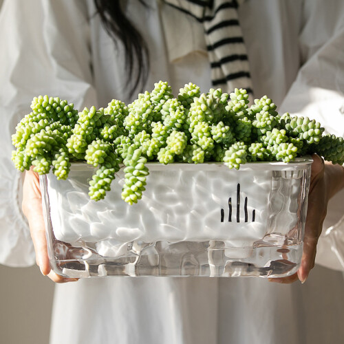 Current Icy Look Plant Holder Auto Watering System-White 2