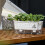 Current Icy Look Plant Holder Auto Watering System-White 5