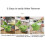 High-Capacity Vegetable Press and Crusher for Dumpling Fillings - Efficient Draining Tool 5