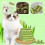 Cat Grass Teething Stick,Cat Grass Teething Stick Cuddles & Meow Teeth Clean 5