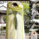 Artistic Handwoven Asian Hat Sun Protective-Immortal  b h 2