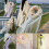 Artistic Handwoven Asian Hat Sun Protective-Immortal  b h 5