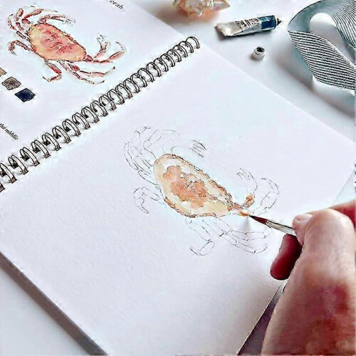 Beginner-Friendly Workbook for Watercolor with Brush Set 2