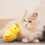 (B) Upgraded Flying Cat Toy with Featherlike Bird Mimicking Chirps 3