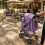 Purple Dot Foldable Pet Stroller with Swivel Wheel 4