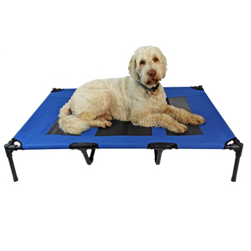 Actiaspet XL Elevated Dog Bed Mesh Raised Cot