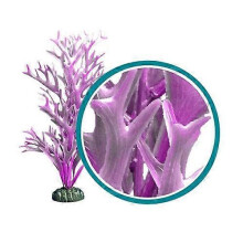 Weco Products Marine Pro Series Giant Kelp Aquarium Plant, Purple, 18 Inches, Giant