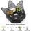 Portable 7 Compartment Pill Box Weekly Pill Organizer Travel Pill Box (Black) - DD01 2