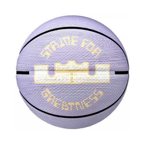 Nike Nike Lebron James Playground 2.0 Basketball 2