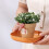 6 Pcs Square Wood Grain Serving Dish Organizer 5