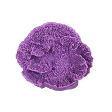 Weco Products South Pacific Coral Capricornis Ornament, Lavender, 1 Each/Small
