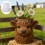 Cow Shaped Silicone Making Mold for Creative Flower Pot and 5