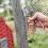 Grey, Stapler And Nailer 13 (4-8 Mm) 25-26 3