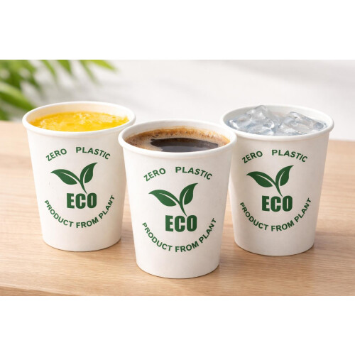 1000 6oz Paper Cups & Lids Bulk Compostable Catering 2