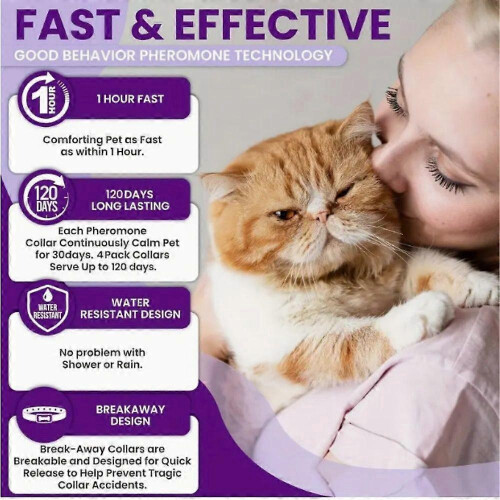(cat)3 Pack Calming Collar for Cats/ Dogs - Cat Pheromone Collar -Adjustable Kitten 2