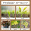 (2pcs) Soil Pro Activator Organic Sources Organic Soil Activator Plant Fertilizer 4