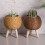 Creative Plastic Planter With Removable Frame-515B coffee color 6
