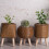 Creative Plastic Planter With Removable Frame-515B coffee color 7