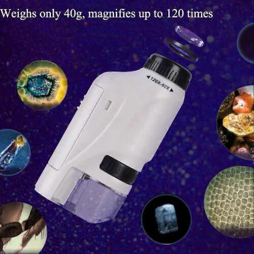 (specimen green)60-120x Lab Mini Pocket Microscope Handheld Microscope Children Science Microscope With LED Light Kids Outdoor Microscope 1