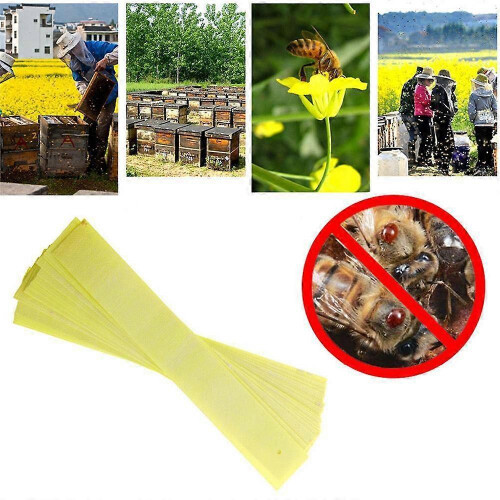 20 Pcs Bee Mite Acaricide Strip Beekeeping Bee Varroa Mite Killer Pest Control Beekeeping Tools 1