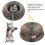 (B) Kitty Kurlz Magic Organ Cat Scratching Board Interactive Foldable Toy 5