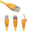 Car programming brush hidden line 2
