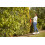 Flymo Flymo EasiCut 600XT Electric Hedge Trimmer 5