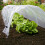Haxnicks Easy Poly Tunnel L3m W45cm H30cm 2